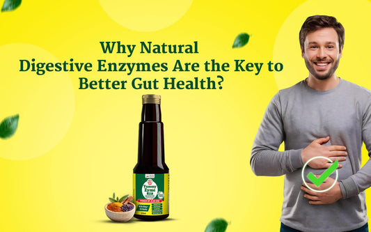 Why Natural Digestive Enzymes Are the Key to Better Gut Health? - Healing Pharma