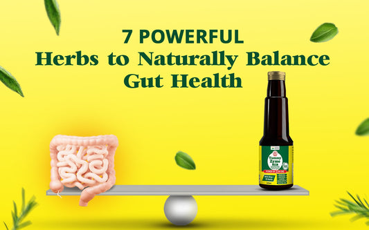 Powerful Herbs to Naturally Balance Gut Health