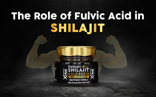 Role of Fulvic Acid in Shilajit