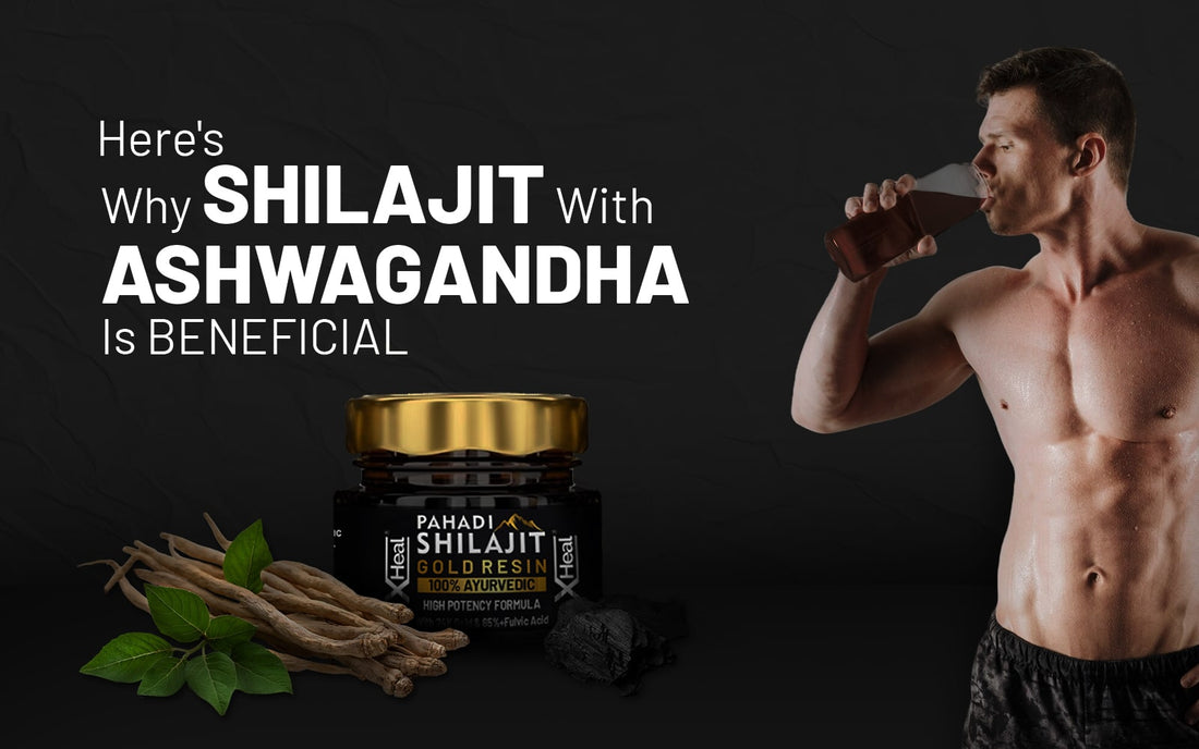 Here's Why Shilajit With Ashwagandha Is Beneficial - Healing Pharma
