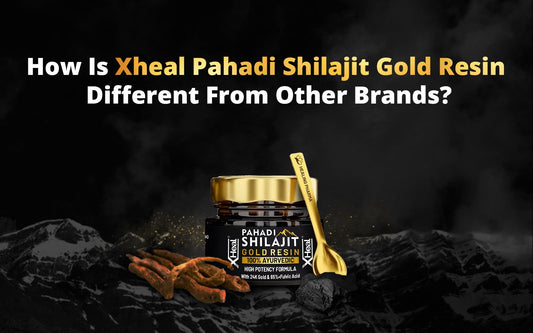 Xheal Pahadi Shilajit Gold Resin