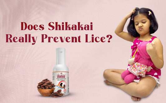 shikakai for lice