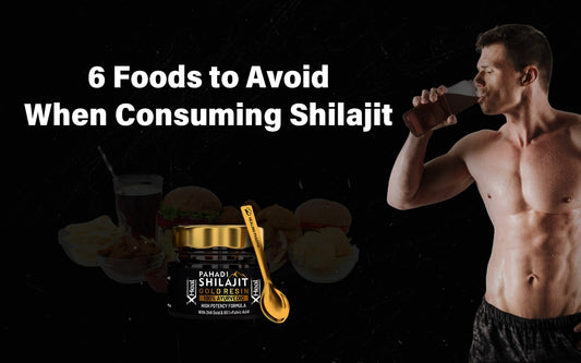 6 Foods to Avoid When Consuming Shilajit - Healing Pharma