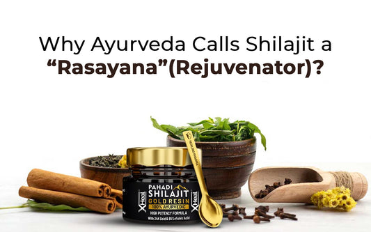 Why Ayurveda Calls Shilajit a “Rasayana” (Rejuvenator)? - Healing Pharma