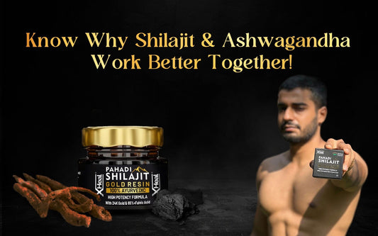 Know Why Shilajit & Ashwagandha Work Better Together! - Healing Pharma