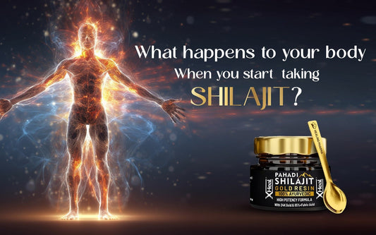 What Happens To Your Body When You Start Taking Shilajit? - Healing Pharma