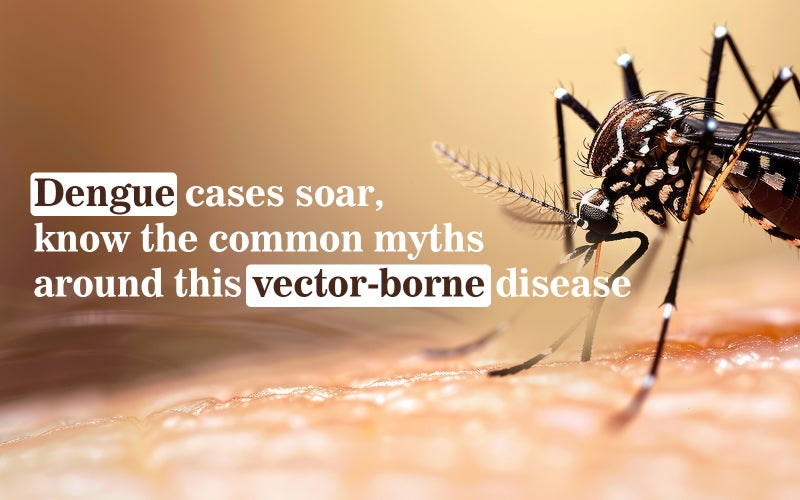 Dengue cases soar, know the common myths around this vector-borne disease - Healing Pharma