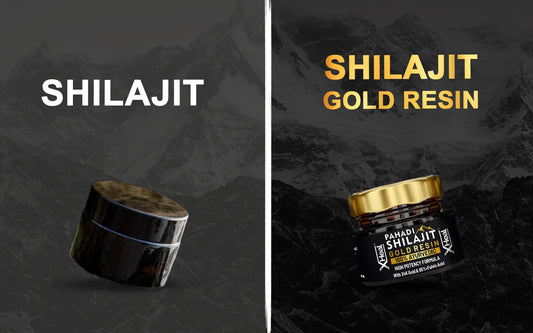 Difference Between Shilajit & Shilajit Gold Resin - Healing Pharma