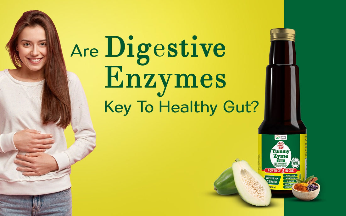 Digestive Enzymes Key To Healthy Gut