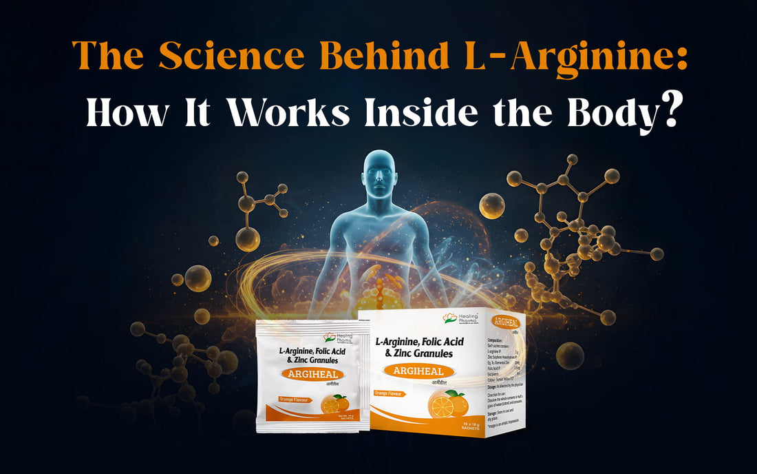 How L-Arginine works in the body