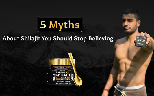 5 Myths About Shilajit You Should Stop Believing - Healing Pharma
