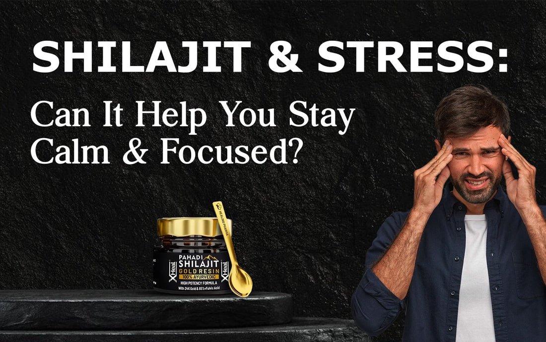 Shilajit and Stress: Can It Help You Stay Calm & Focused? - Healing Pharma