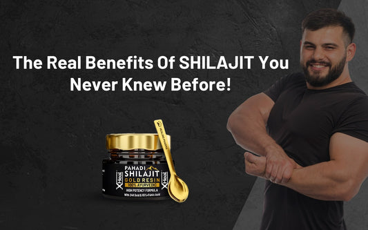 The Real Benefits Of Shilajit You Never Knew Before! - Healing Pharma