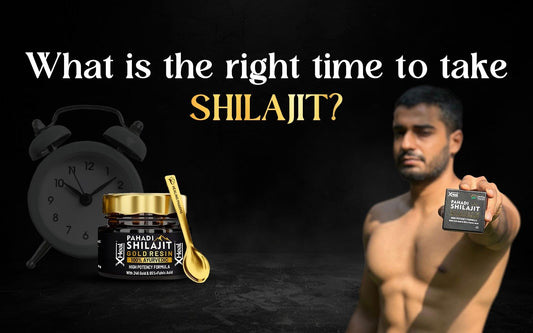 What Is The Right Time To Take Shilajit? - Healing Pharma