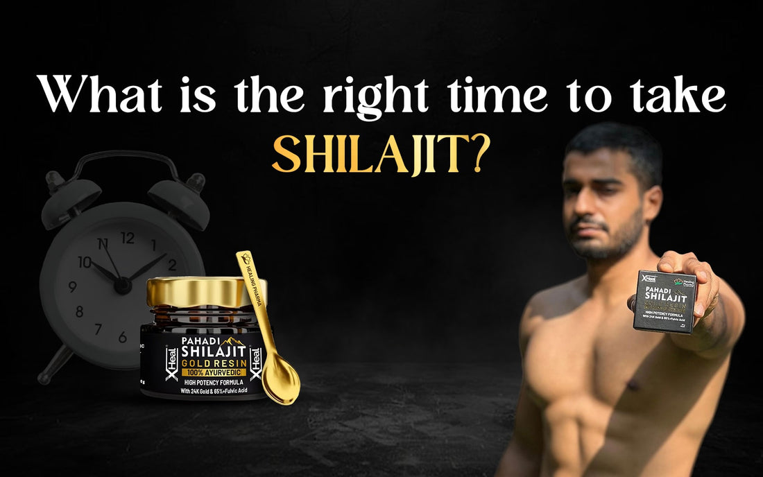 Right Time To Take Shilajit