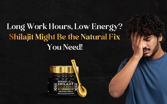 Shilajit gold resin online