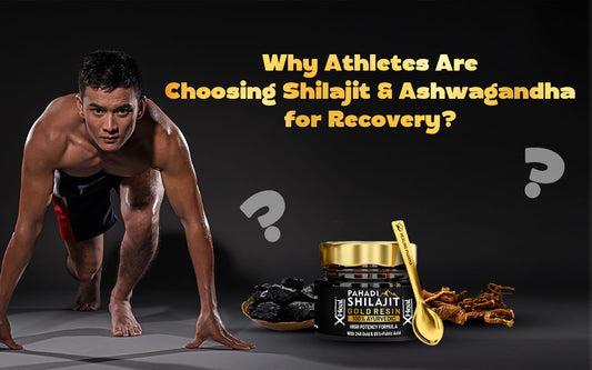 Shilajit and Ashwagandha for Recovery