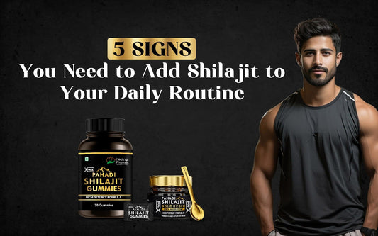 5 Signs You Need to Add Shilajit to Your Daily Routine - Healing Pharma