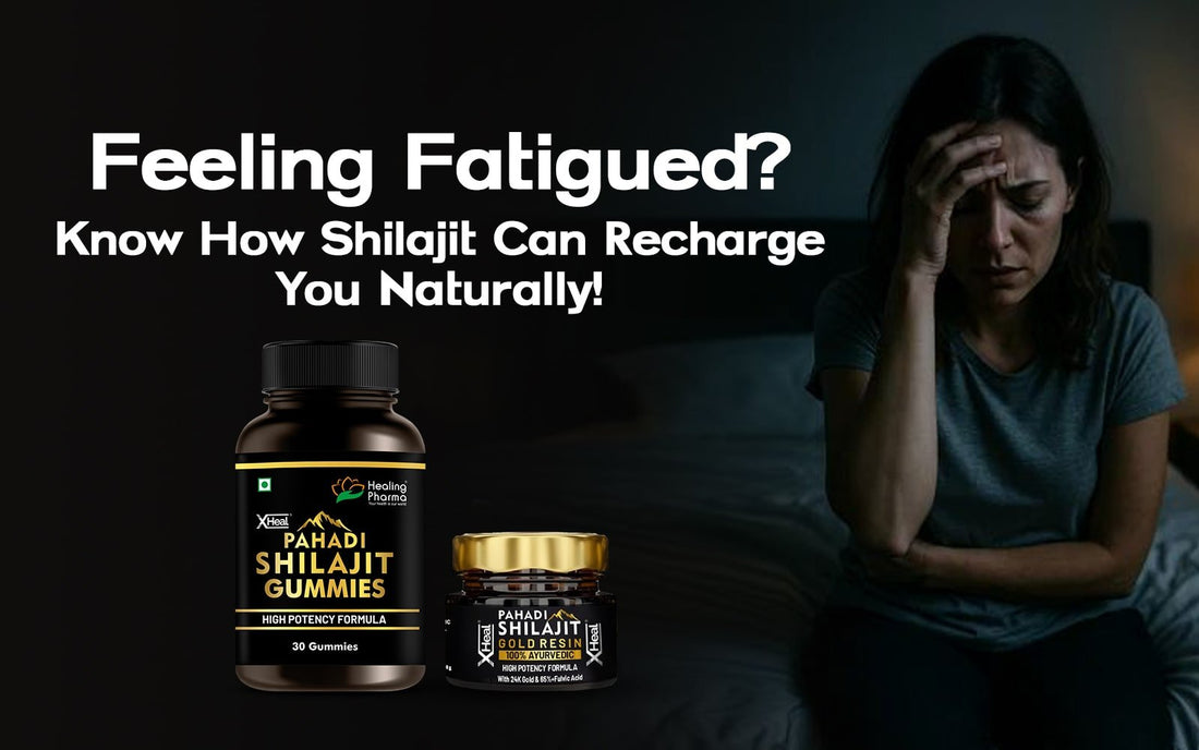 Feeling Fatigued? Know How Shilajit Can Recharge You Naturally! - Healing Pharma