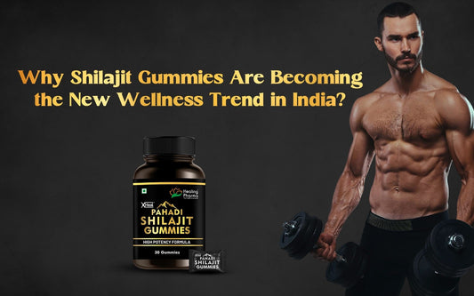 Why Shilajit Gummies Are Becoming the New Wellness Trend in India? - Healing Pharma