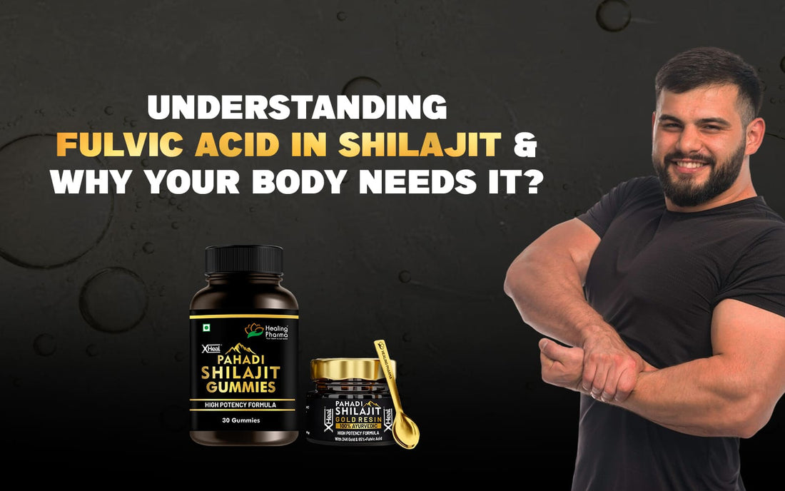 Fulvic Acid In Shilajit