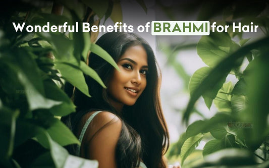 Wonderful Benefits of Brahmi for Hair - Healing Pharma