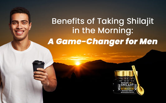 benefits of taking shilajit in the morning