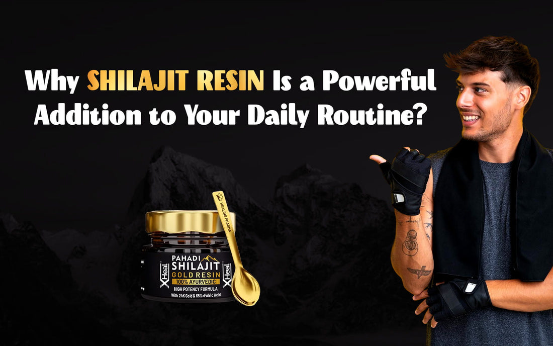 how to take shilajit resin daily