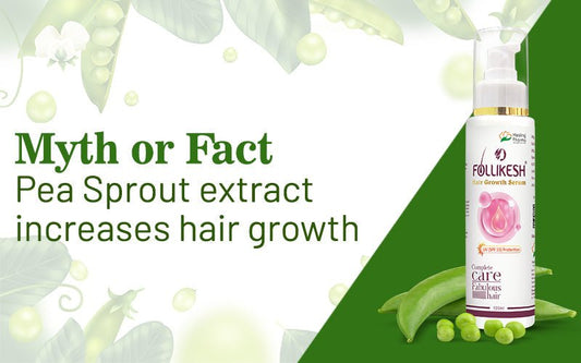 Myth Or Fact: Pea Sprout Extract Increases Hair Growth - Healing Pharma