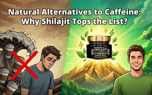 shilajit for energy without caffeine