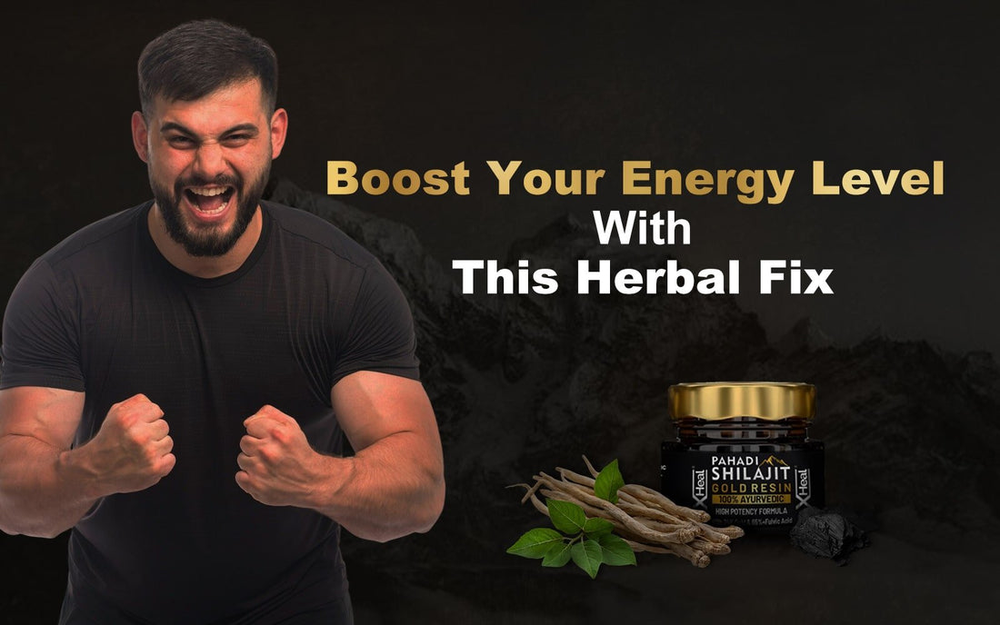 Your Energy Crash Needs A Herbal Fix: Get Recharged Naturally With Xheal Pahadi Shilajit Gold Resin - Healing Pharma