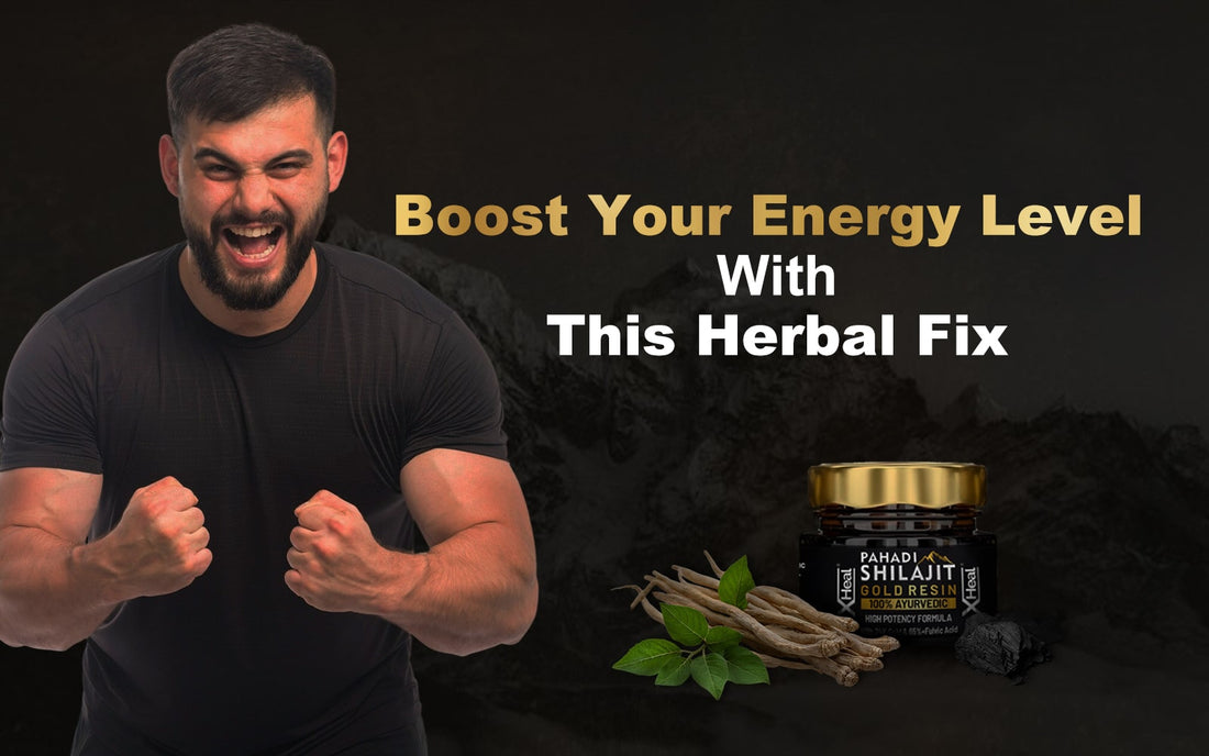 Your Energy Crash Needs A Herbal Fix: Get Recharged Naturally With Xheal Pahadi Shilajit Gold Resin - Healing Pharma