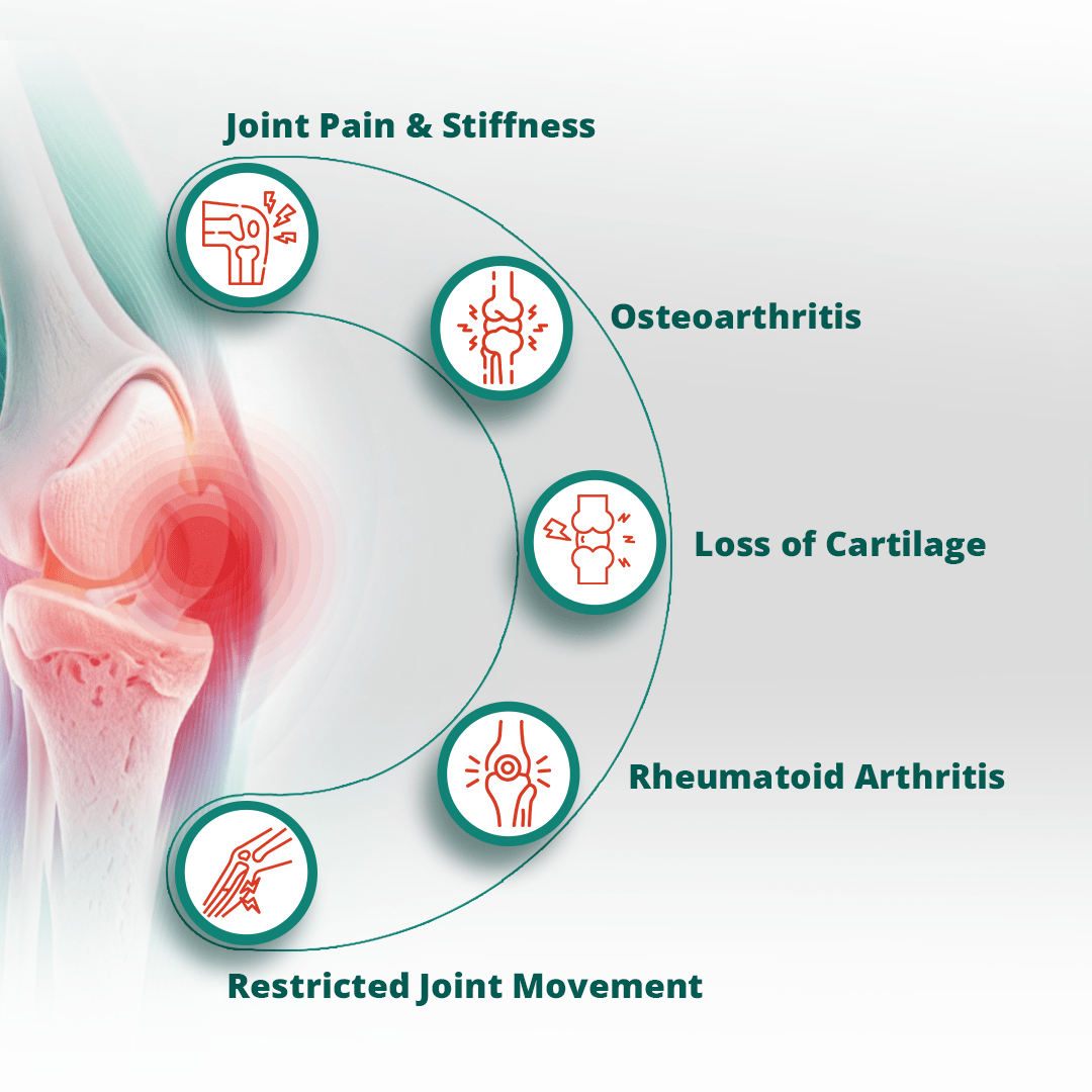 Orthojoint Pro – Advanced Joint Health Tablets (Glucosamine Sulfate 1500 mg, Collagen II, Astaxanthin)