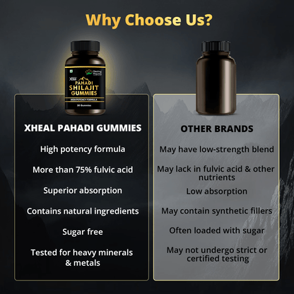 pahadi shilajit gummies india